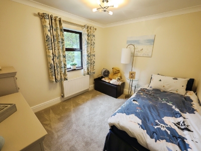Picture 15